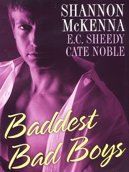 Title details for Baddest Bad Boys by Shannon McKenna - Available